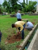 Swachhata Pokhwada 2023 campaign at SVNIRTAR Campus by Plantation on 17.07.2023